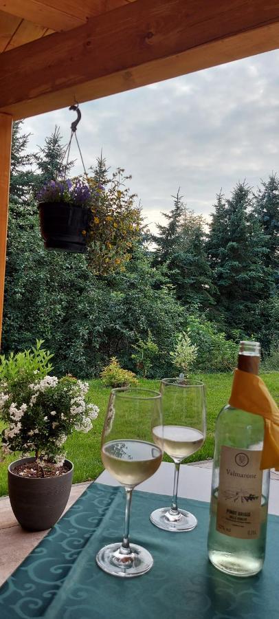 Ferienhaus Richtermuehle ゼーブニッツ エクステリア 写真
